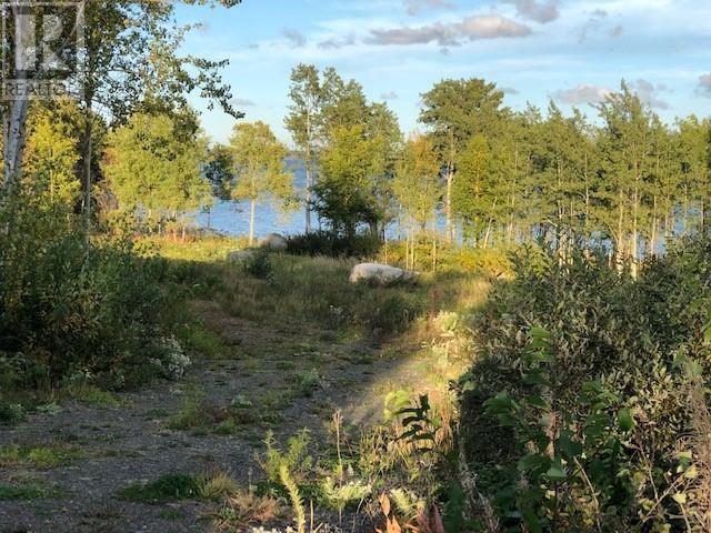 202 Comfort Cove Road