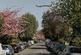 Additional image 23 of Tyrwhitt Road IV, London SE4