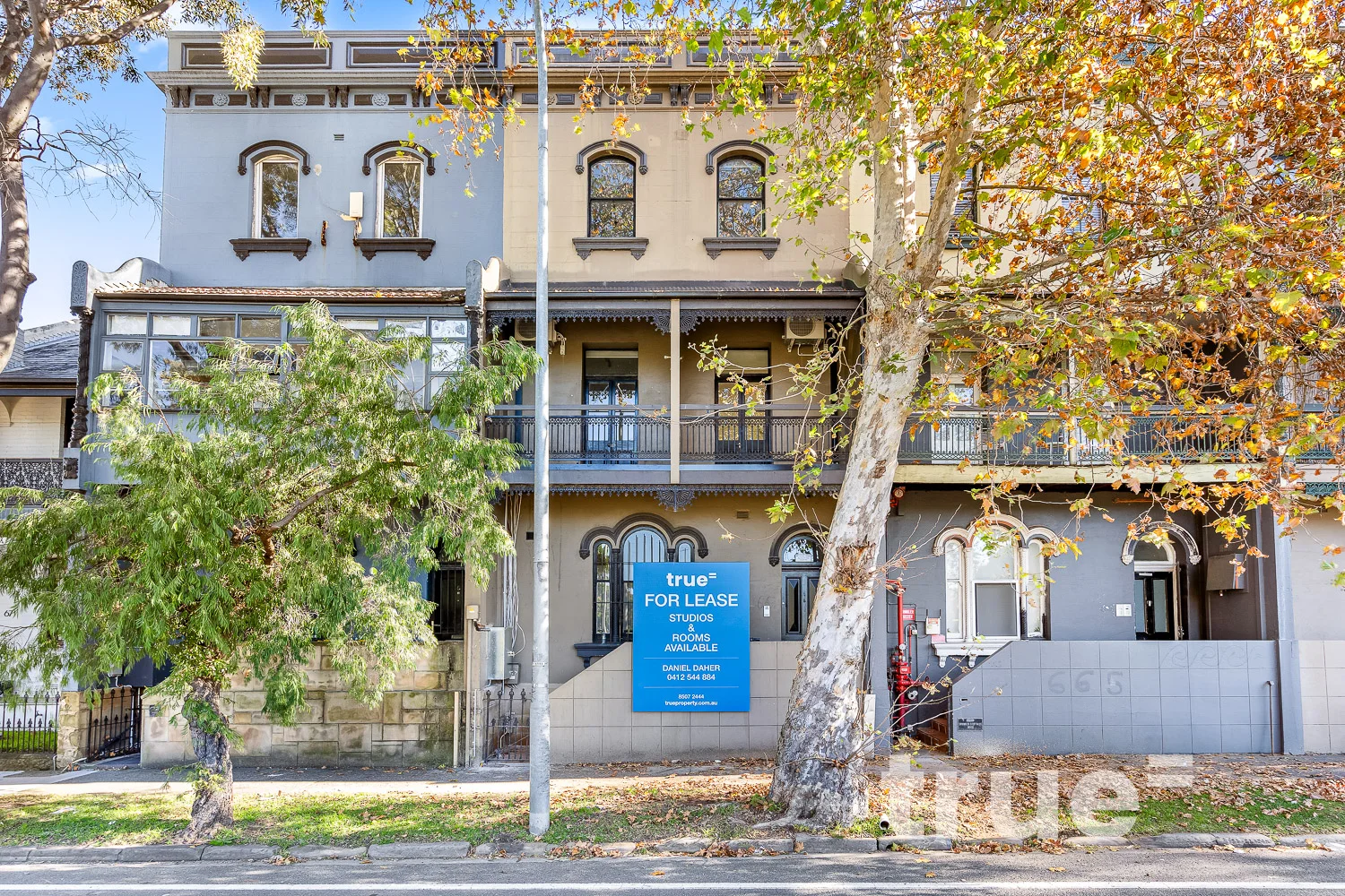 Additional image 4 of 1/667 South Dowling Street, Surry Hills NSW 2010