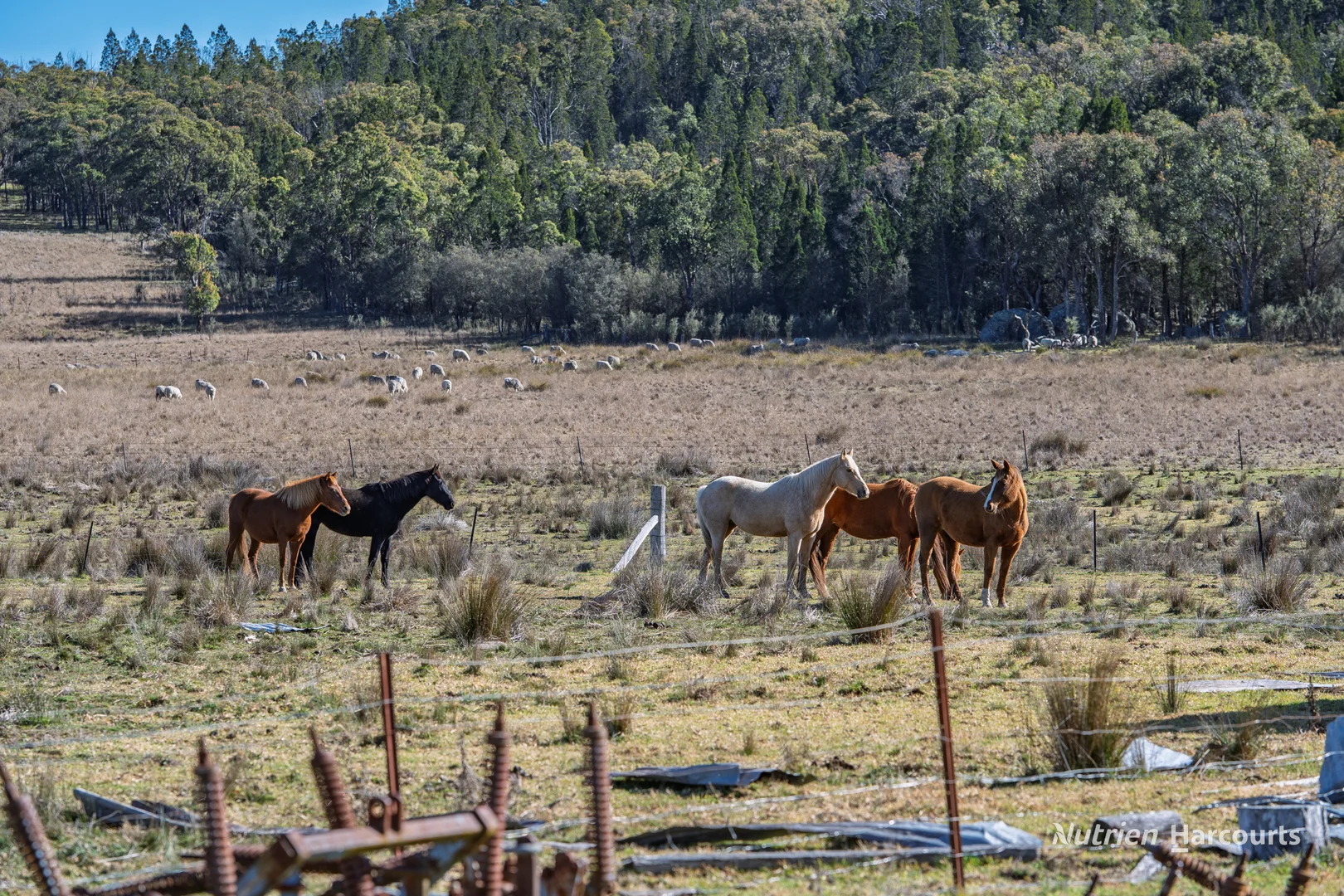 Additional image 12 of Rocky Glen Road, Kingstown NSW 2358