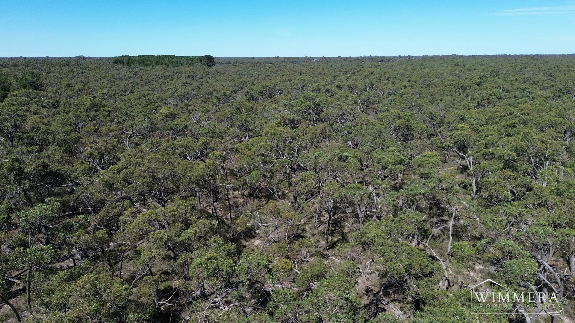 Additional image 16 of 239 J Kealys Road, Patyah VIC 3318
