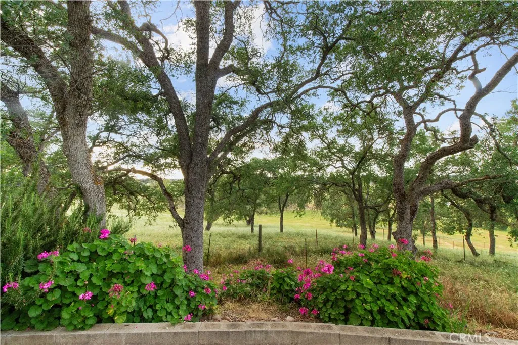 Additional image 38 of 10580 Thompson, Valley Springs, CA 95252