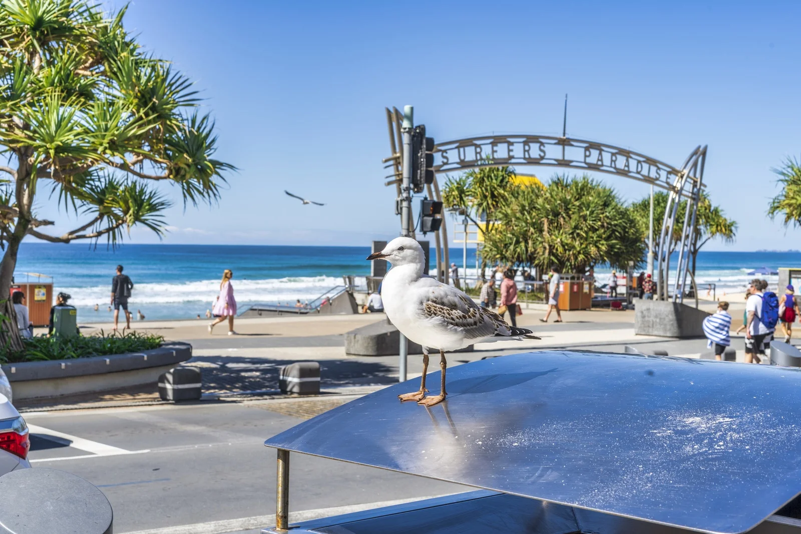 Additional image 19 of 52/33 Thornton Street, Surfers Paradise QLD 4217