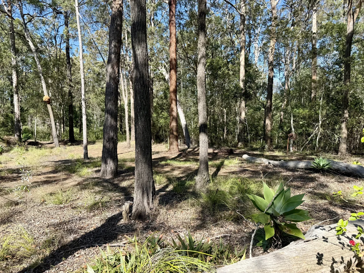 Additional image 35 of 86 Packer Road, Blackbutt North QLD 4314
