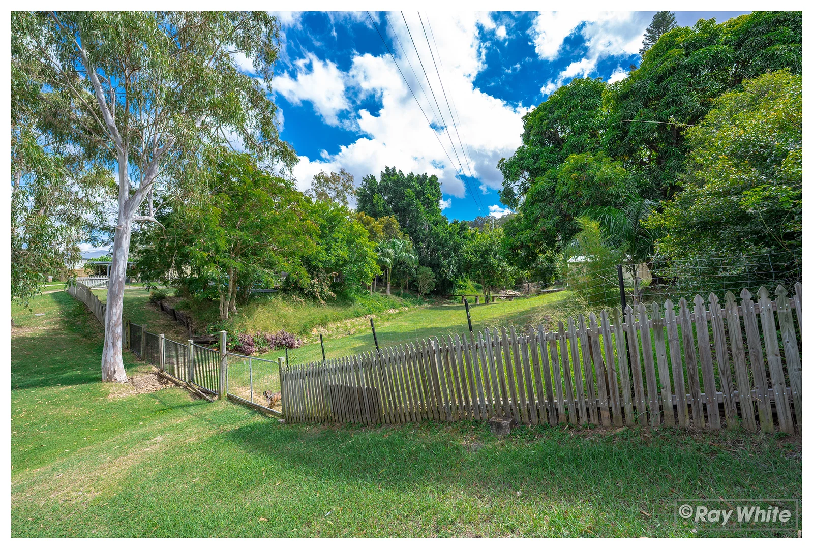 Additional image 30 of 435 Rockonia Road, Lakes Creek QLD 4701
