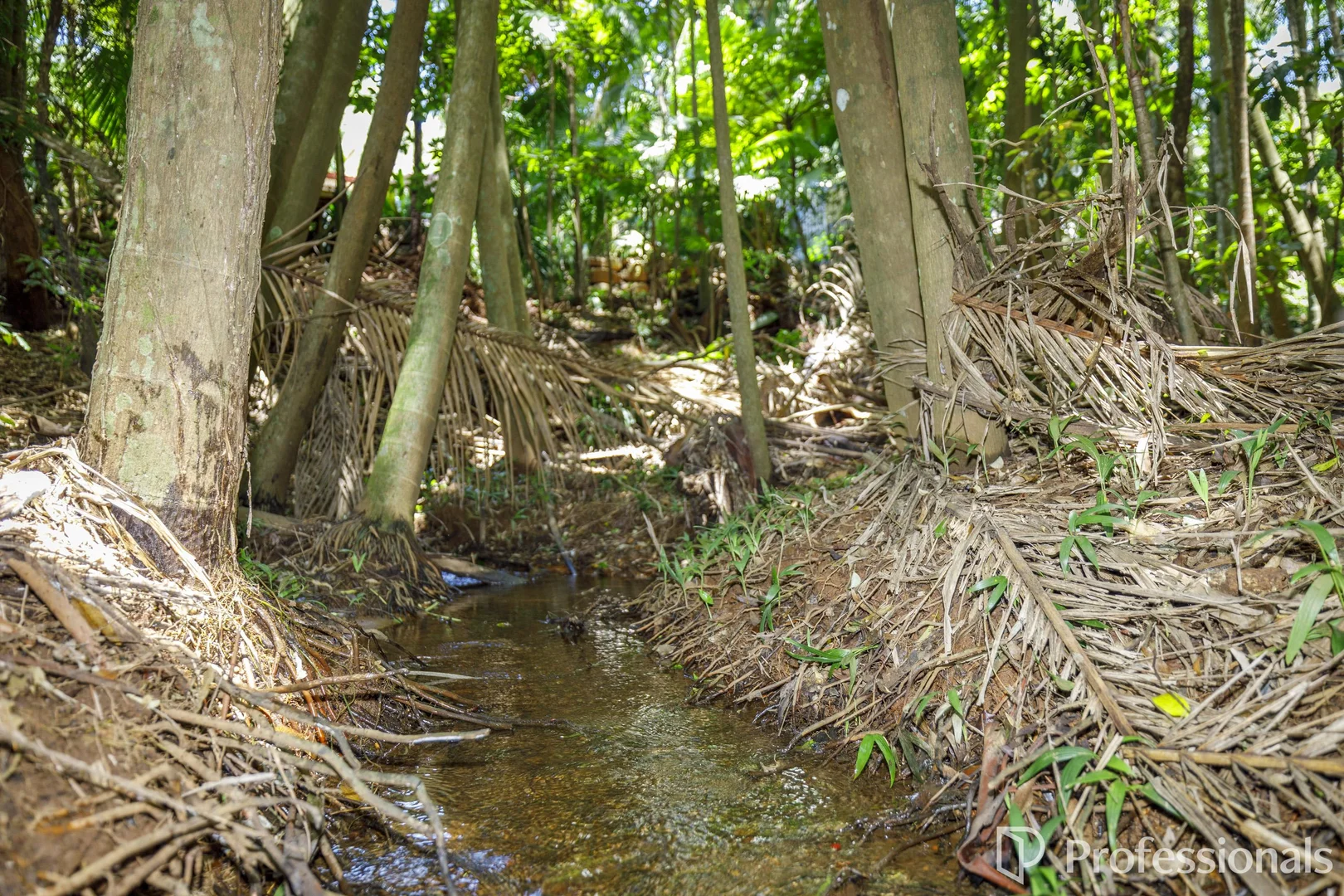 Additional image 40 of 30 Long Road, Tamborine Mountain QLD 4272