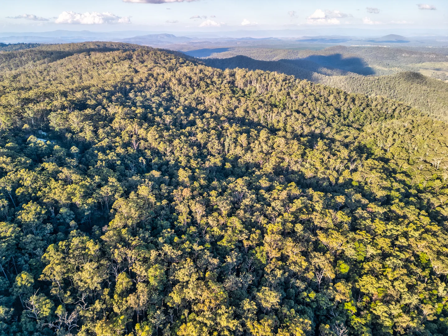 Additional image 11 of LOT 104 ESK HAMPTON ROAD, Redbank Creek QLD 4312