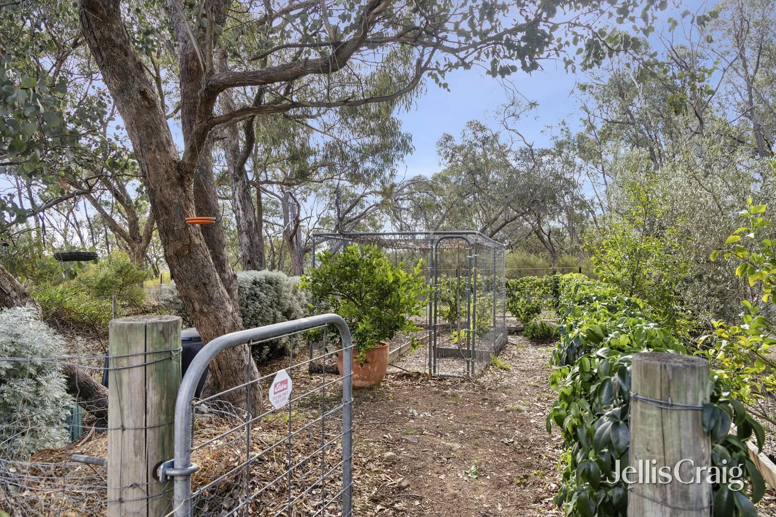Additional image 13 of 180 Goldspeck Gully Road, Chewton Bushlands VIC 3451