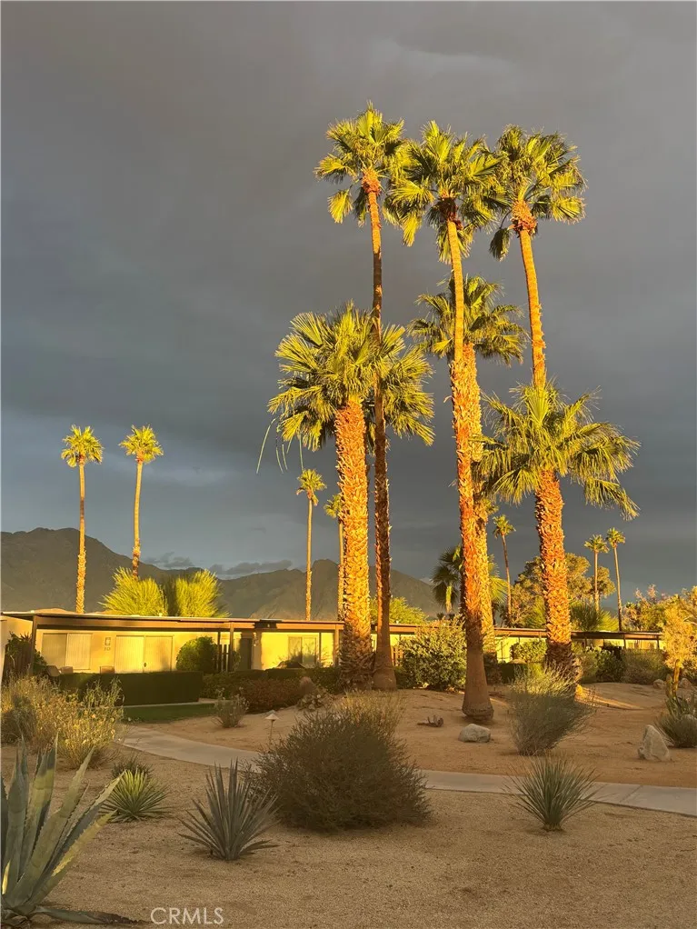 Additional image 87 of 3195 Club Circle W, Borrego Springs, CA 92004