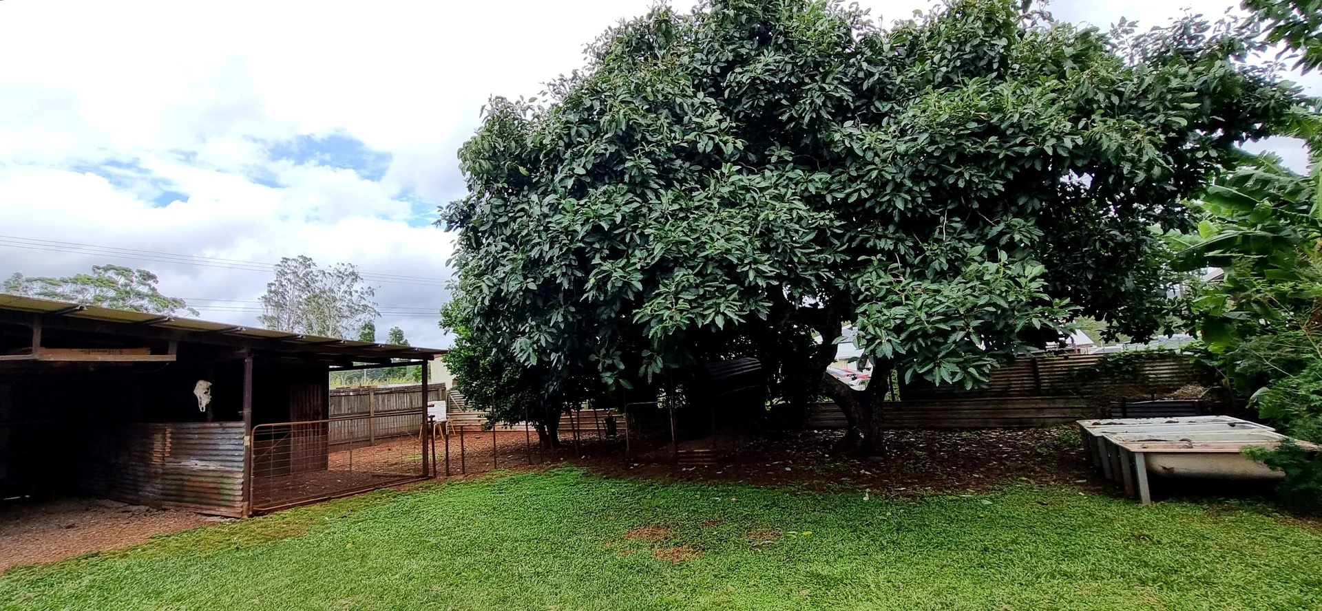 Additional image 35 of Ravenshoe QLD 4888