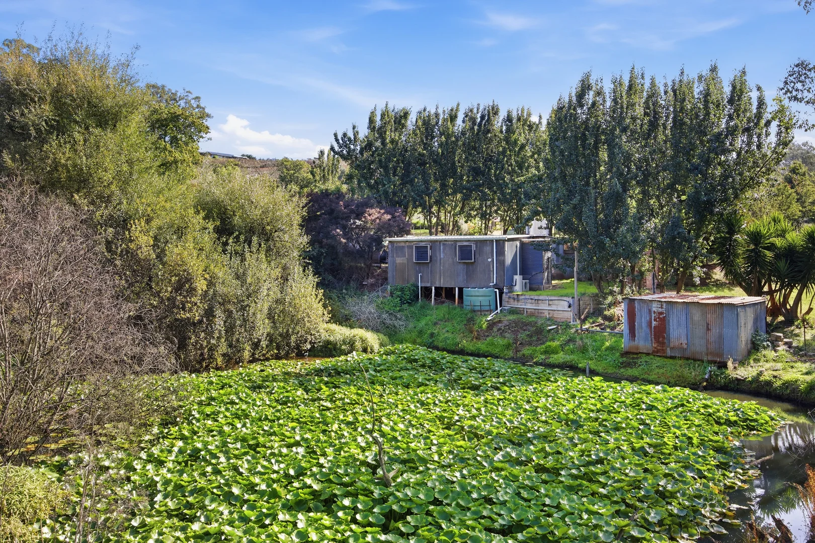 Additional image 14 of 132 Monbulk-Seville Road, Silvan VIC 3795