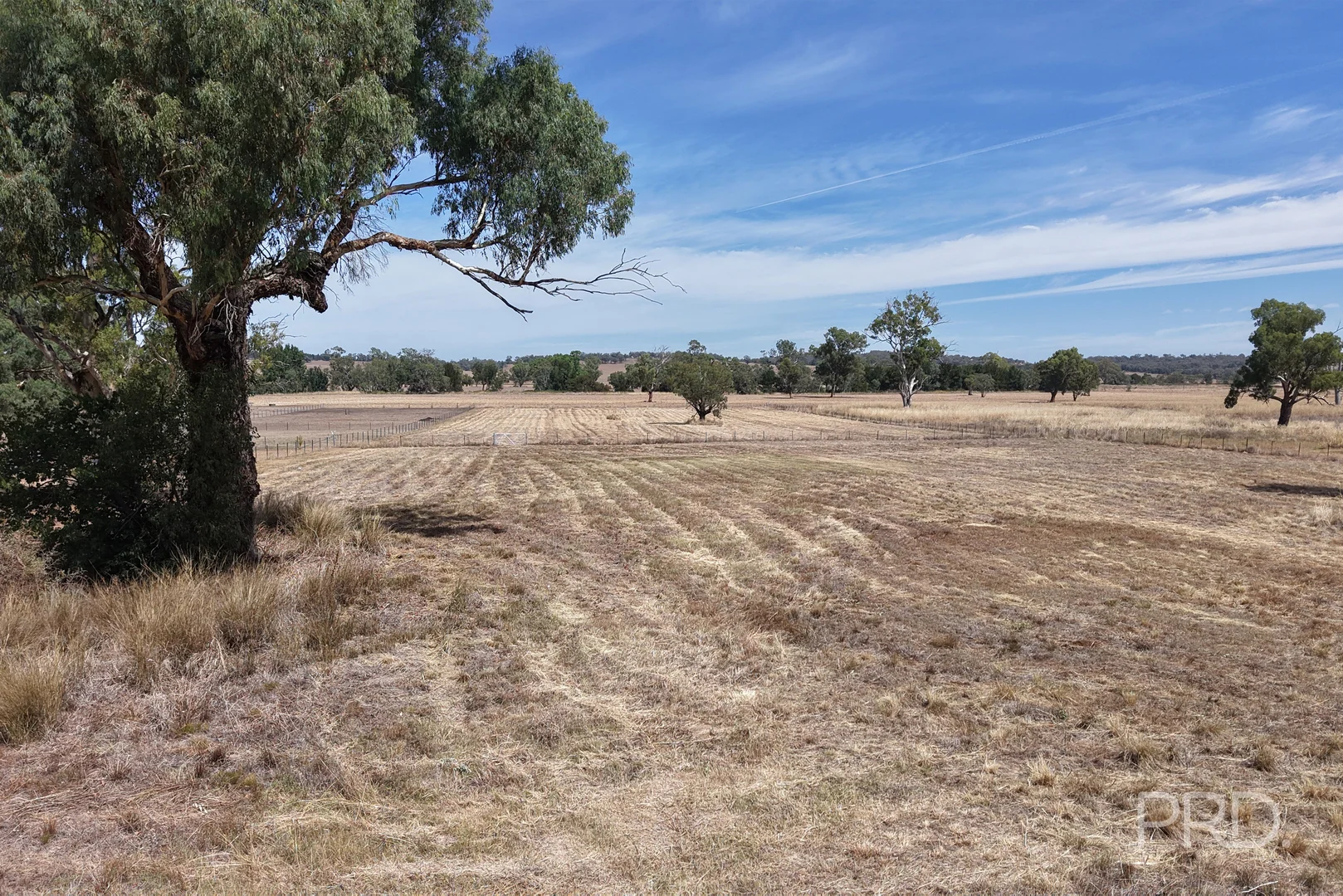 Additional image 2 of 479 Spains Lane, Quirindi NSW 2343