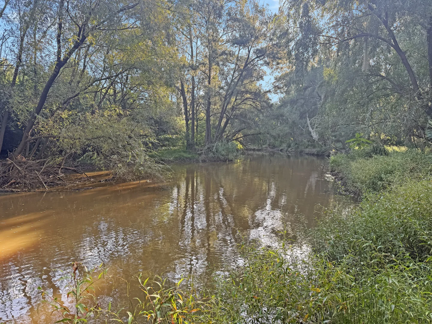 Additional image 10 of 2938 Paynes Crossing Rd, Wollombi NSW 2325