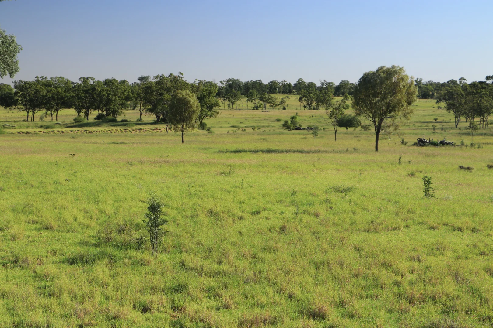 Additional image 17 of 564 ORALLO ROAD, Roma QLD 4455