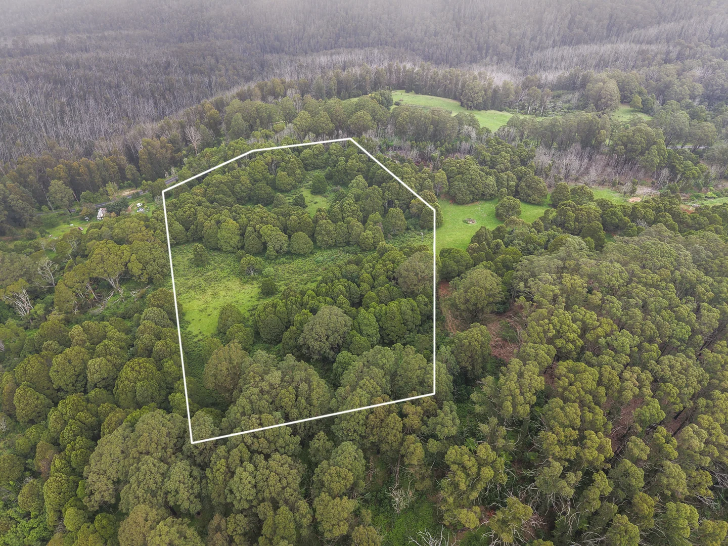 Additional image 6 of 4502 Mount Darragh Road, Mount Darragh NSW 2632