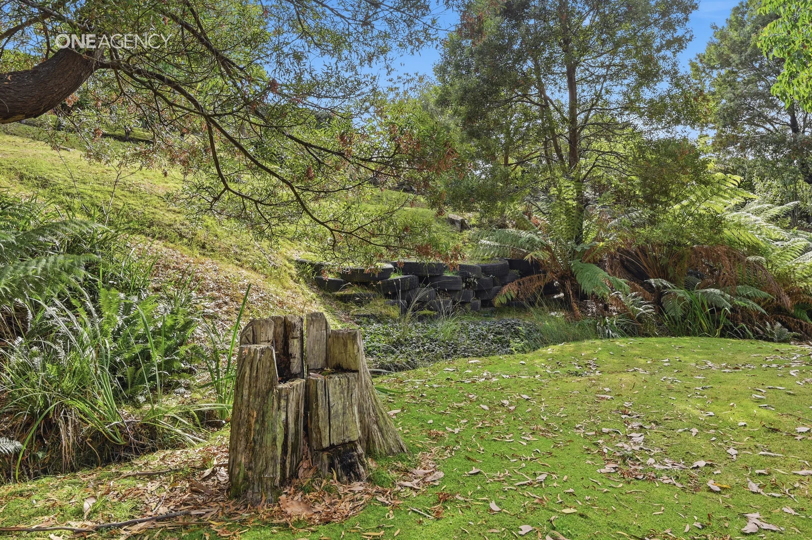 Additional image 28 of 50 Barnes Road, South Spreyton TAS 7310