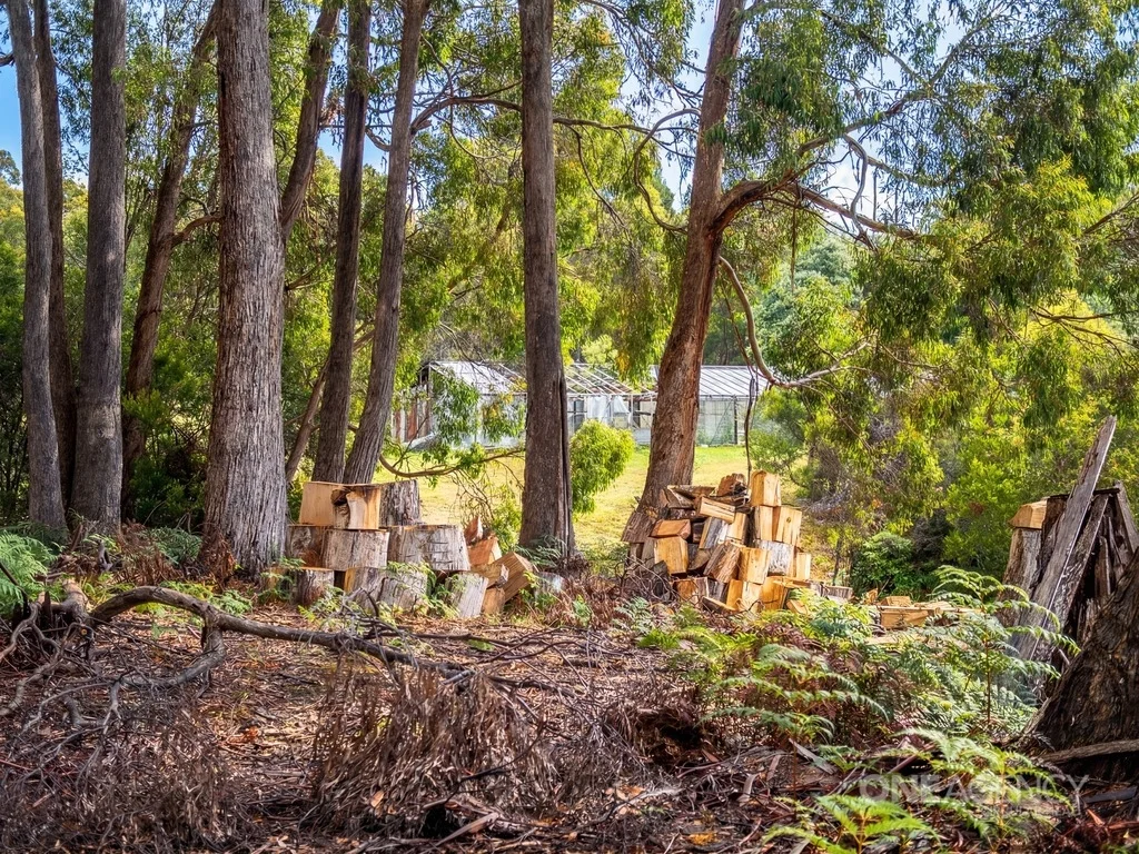 Additional image 27 of 175 Stennings Road, Wynyard TAS 7325