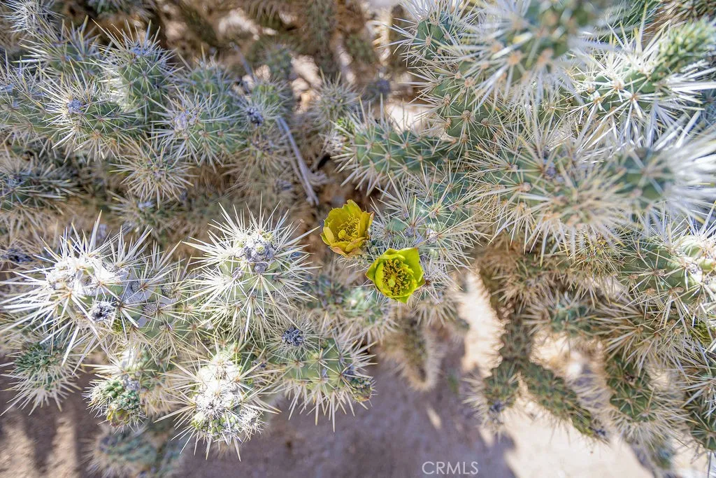 Additional image 27 of 60194 La Mirada Trail, Joshua Tree, CA 92252