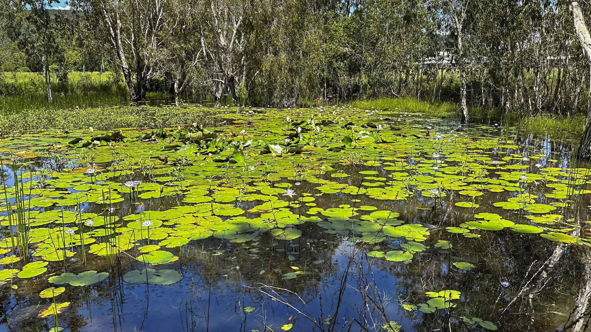 Additional image 19 of 8 Patterson Street, Midge Point QLD 4799