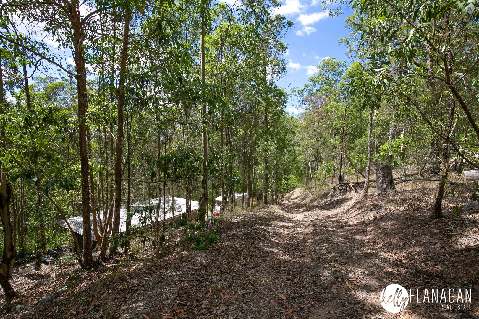 Additional image 19 of 64 Earth First Road, Mungay Creek NSW 2440