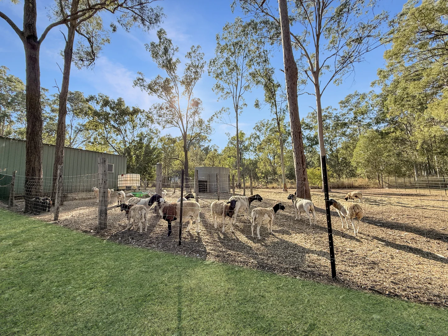 Additional image 22 of 15 Rosella Avenue, Regency Downs QLD 4341