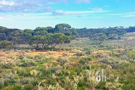 Additional image 19 of Section 369 Schwertie Road, Black Hill SA 5353