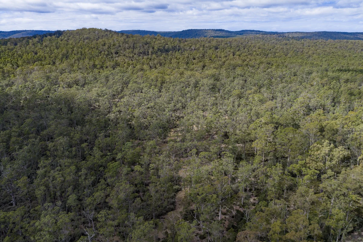 Additional image 10 of Mt Foster Road, Fingal TAS 7214