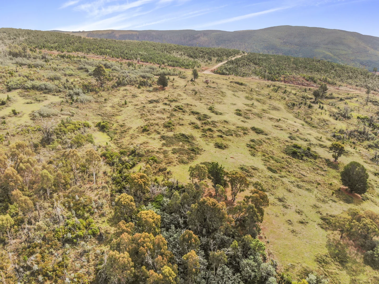 Additional image 14 of 755 Old Tumbarumba road, Batlow NSW 2730