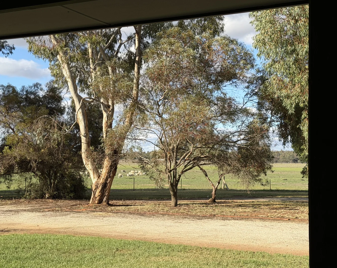 Additional image 18 of 'Selbit', 83 Four Post Road, Deniliquin NSW 2710