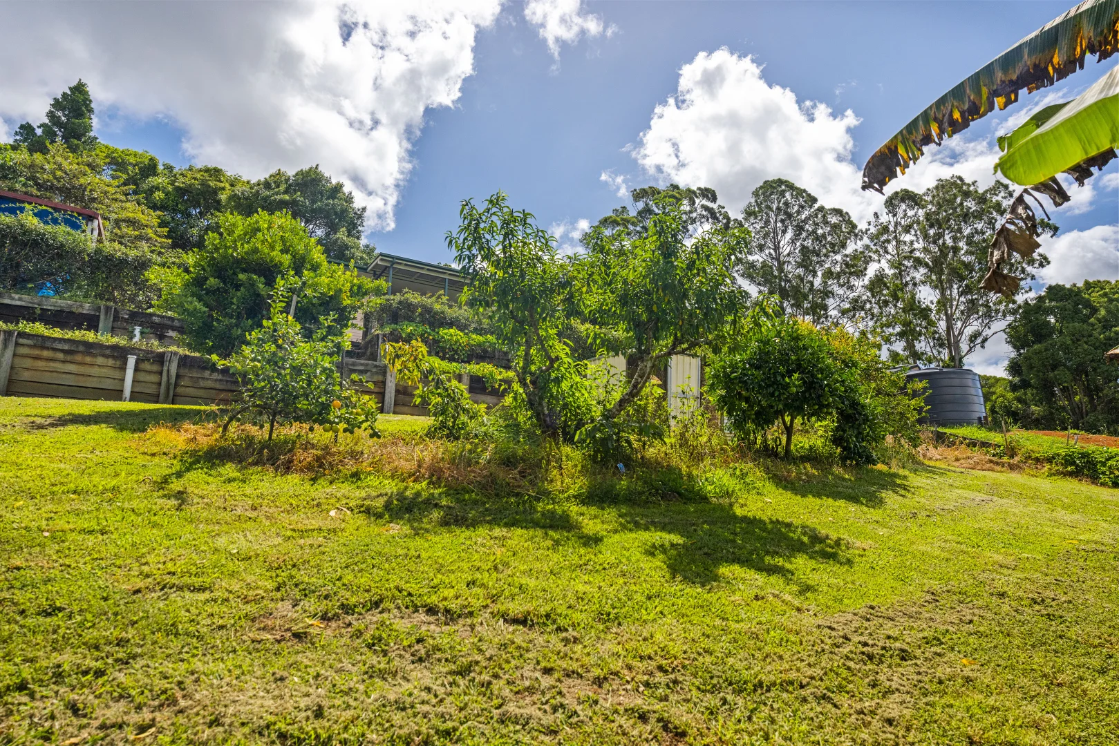 Additional image 38 of 294 Witta Road, Witta QLD 4552