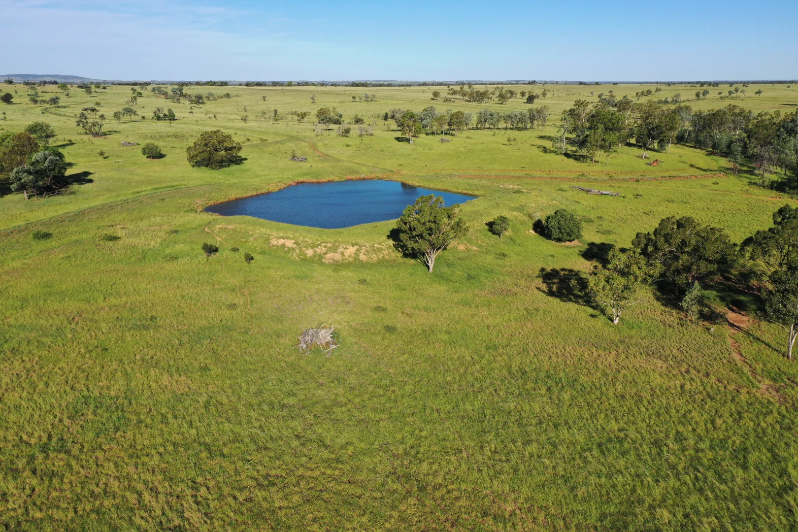 Additional image 21 of 564 ORALLO ROAD, Roma QLD 4455