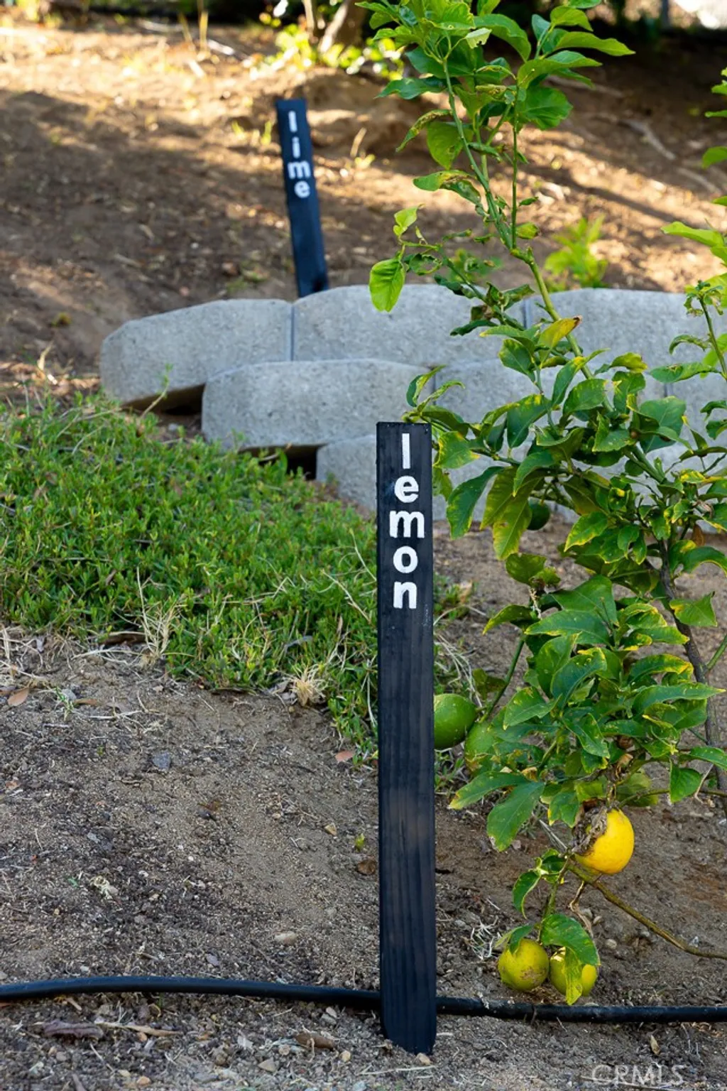 Additional image 28 of 1807 Valencia Ave, Carlsbad, CA 92008