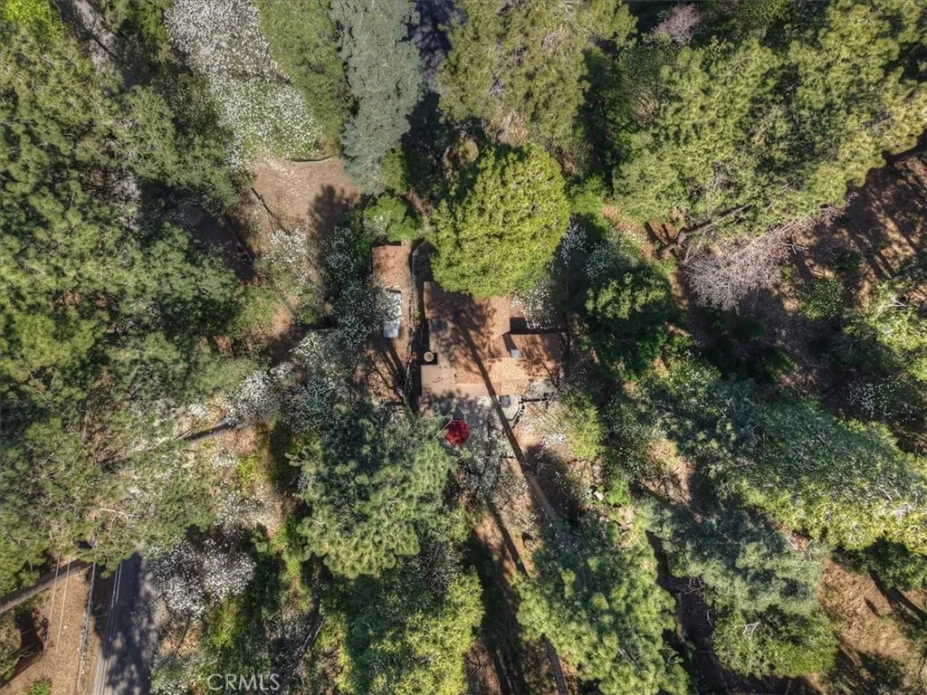 Additional image 94 of 851 Cottage Grove Rd, Lake Arrowhead, CA 92352