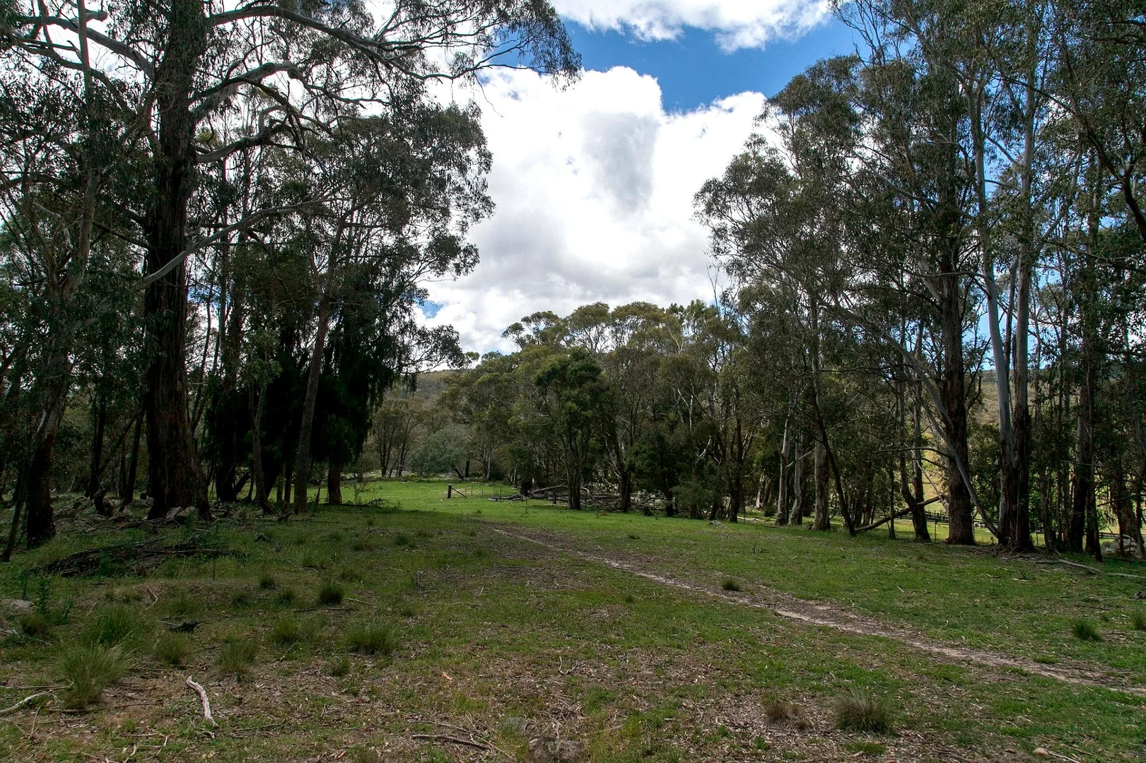Additional image 37 of 507 Harolds Cross Road, Braidwood NSW 2622