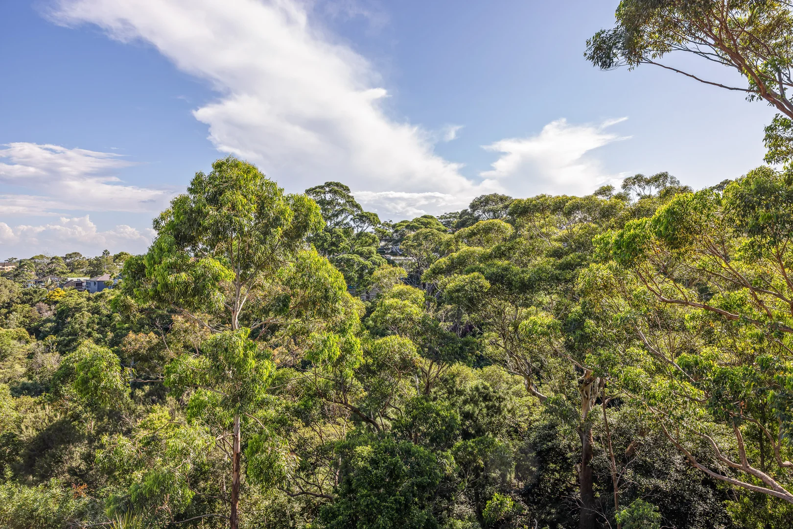 Additional image 20 of 66D Milray Avenue, Wollstonecraft NSW 2065