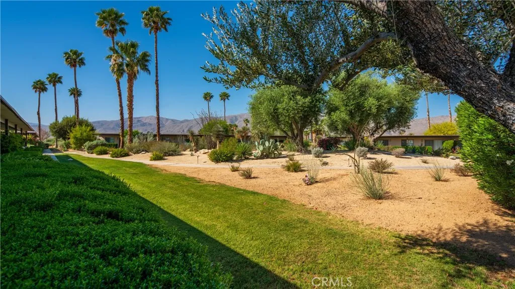 Additional image 74 of 3195 Club Circle W, Borrego Springs, CA 92004