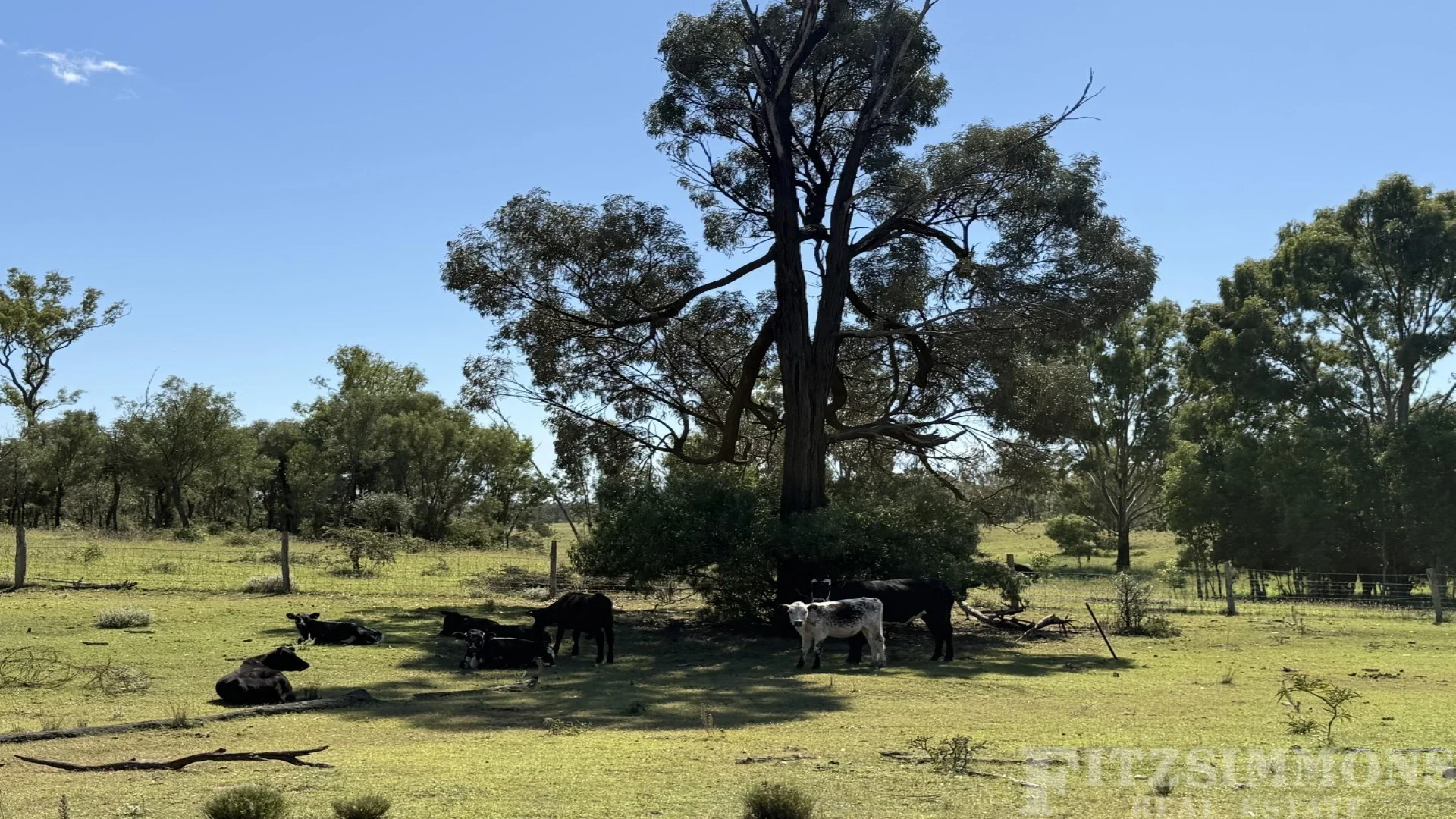 Additional image 14 of Braziers Road, Jandowae QLD 4410
