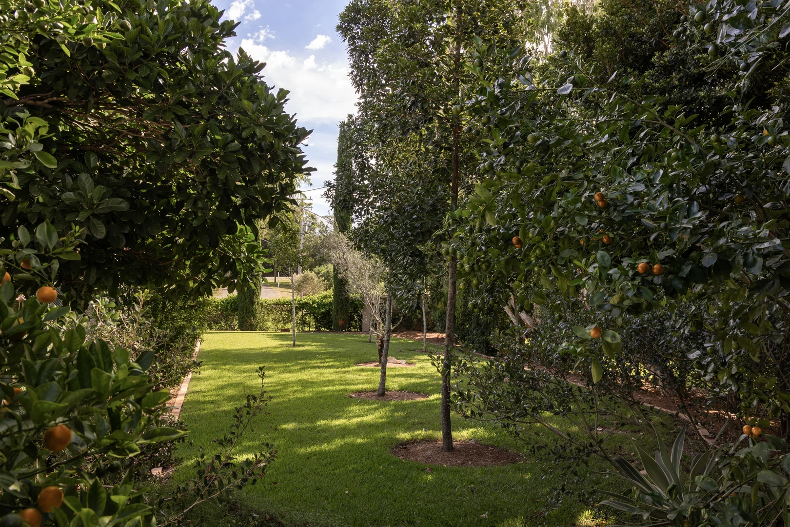 Additional image 34 of 12 Aminga Street, Fig Tree Pocket QLD 4069
