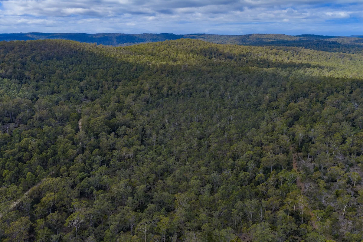 Additional image 14 of Mt Foster Road, Fingal TAS 7214