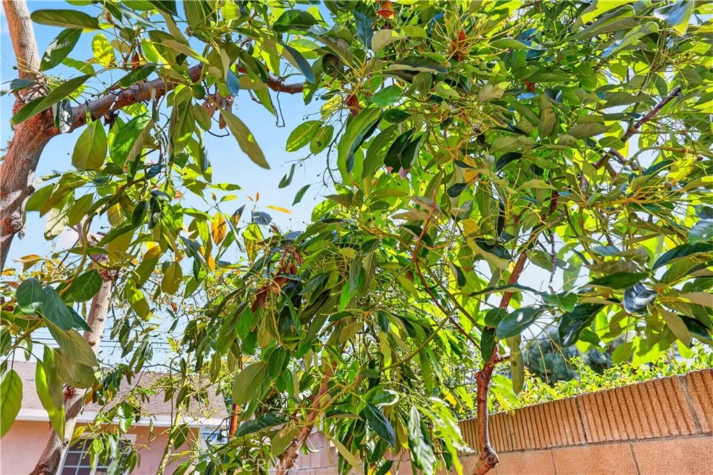 Additional image 125 of 1725 3rd St, La Verne, CA 91750