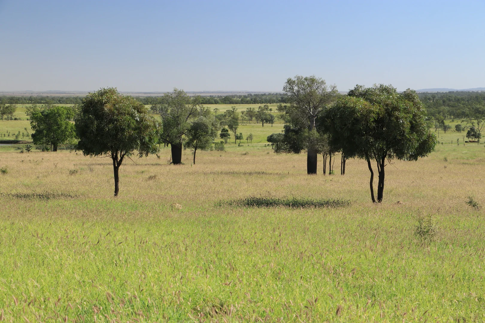 Additional image 13 of 564 ORALLO ROAD, Roma QLD 4455
