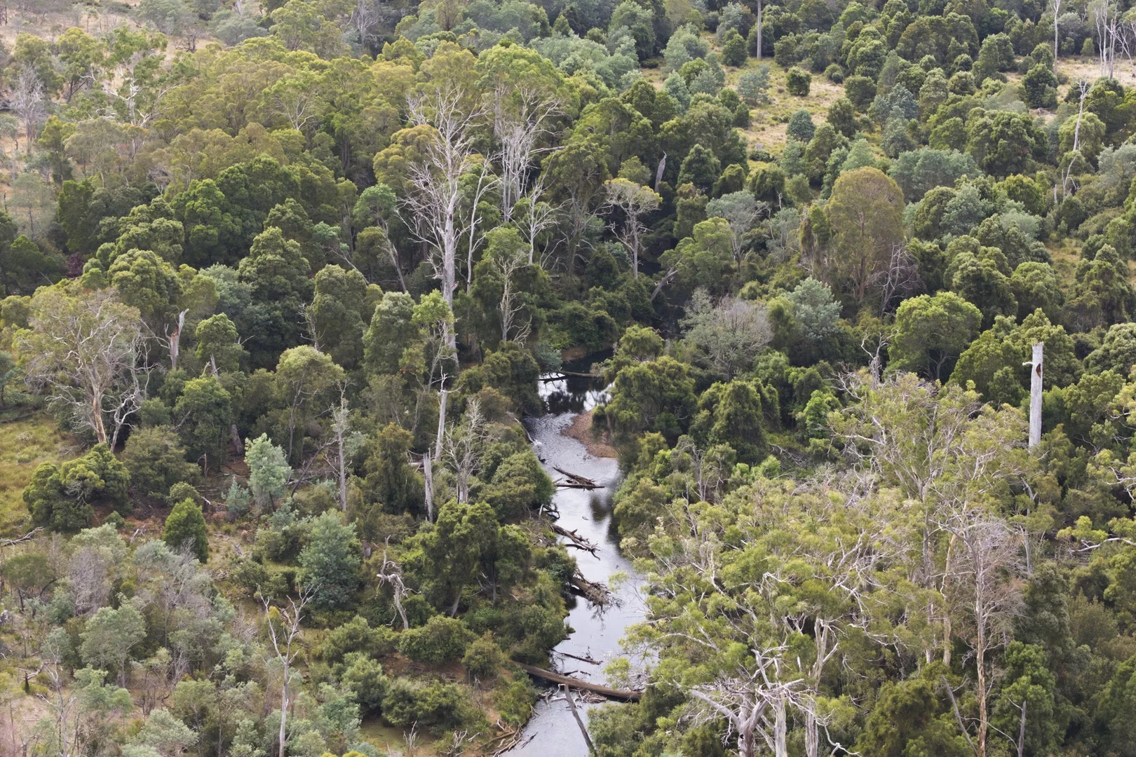 411 Bryants Lane, Deddington TAS 7212 photo 2