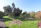 The Bramleys, Lawford, Manningtree photo 4
