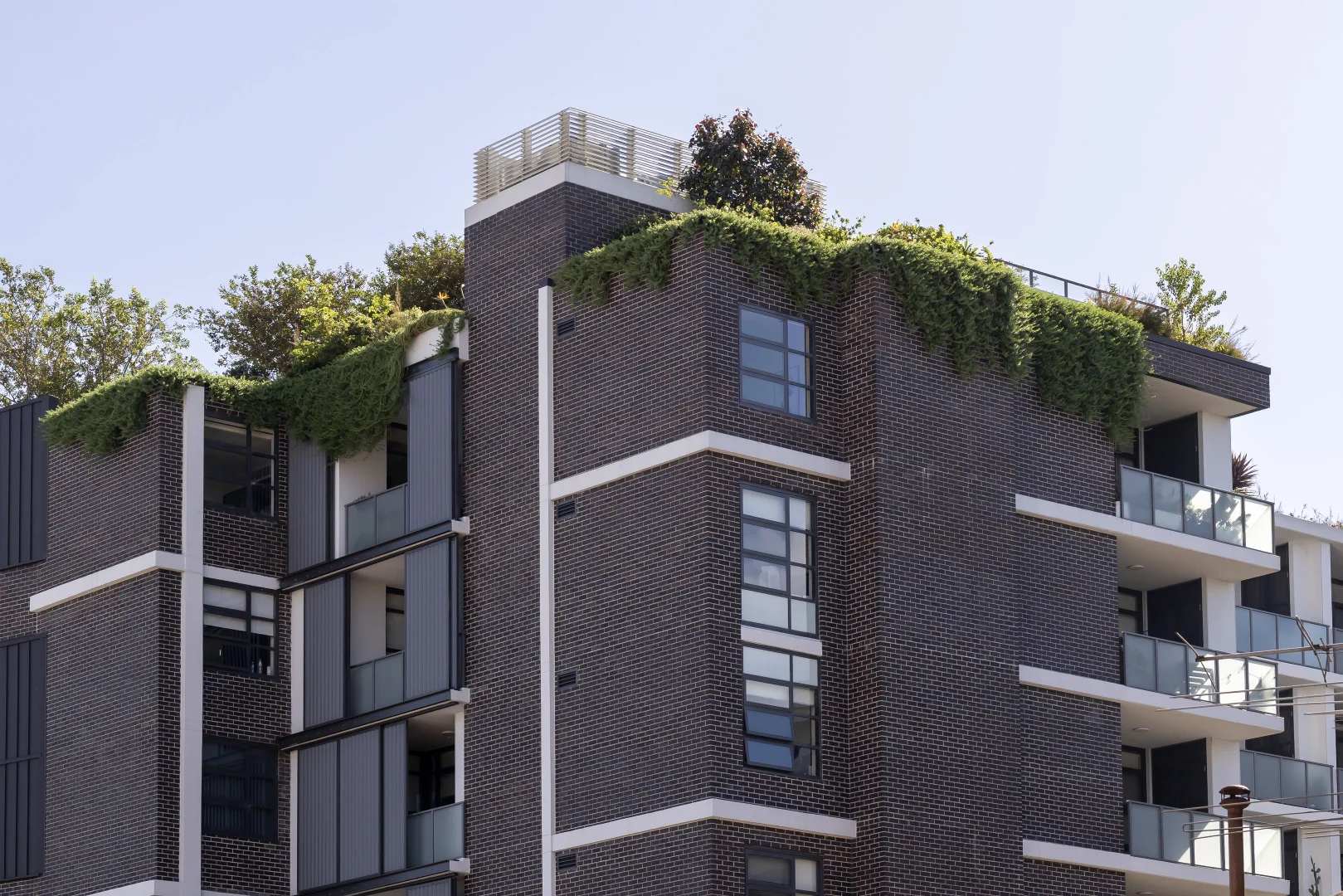 Additional image 16 of 703/305 Trafalgar Street, Petersham NSW 2049