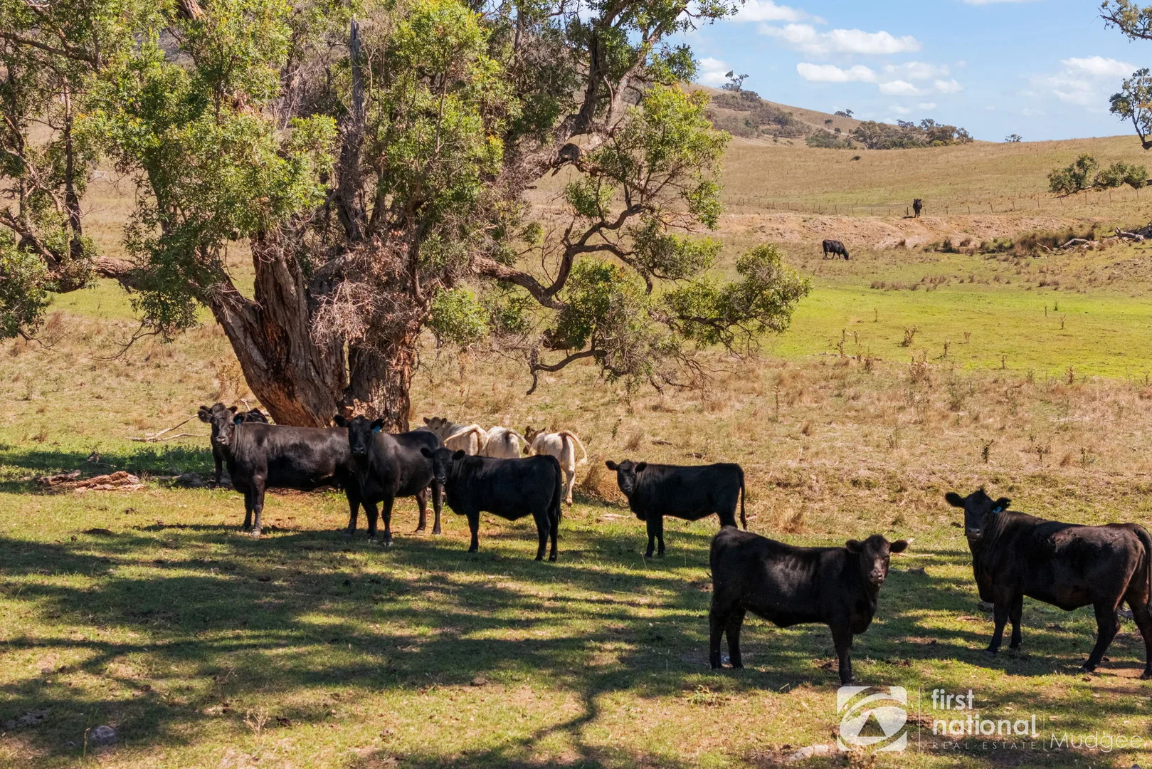 Additional image 5 of 365 Erudgere Lane, Mudgee NSW 2850