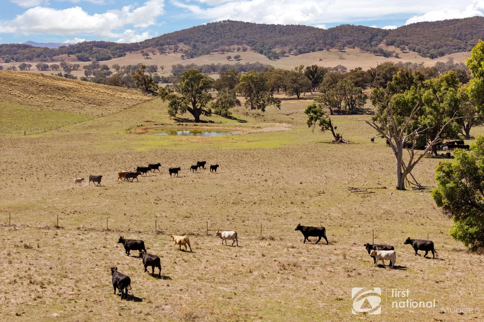 Additional image 7 of 365 Erudgere Lane, Mudgee NSW 2850