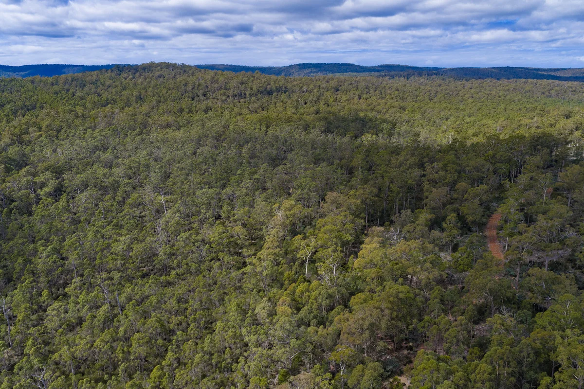 Additional image 12 of Mt Foster Road, Fingal TAS 7214