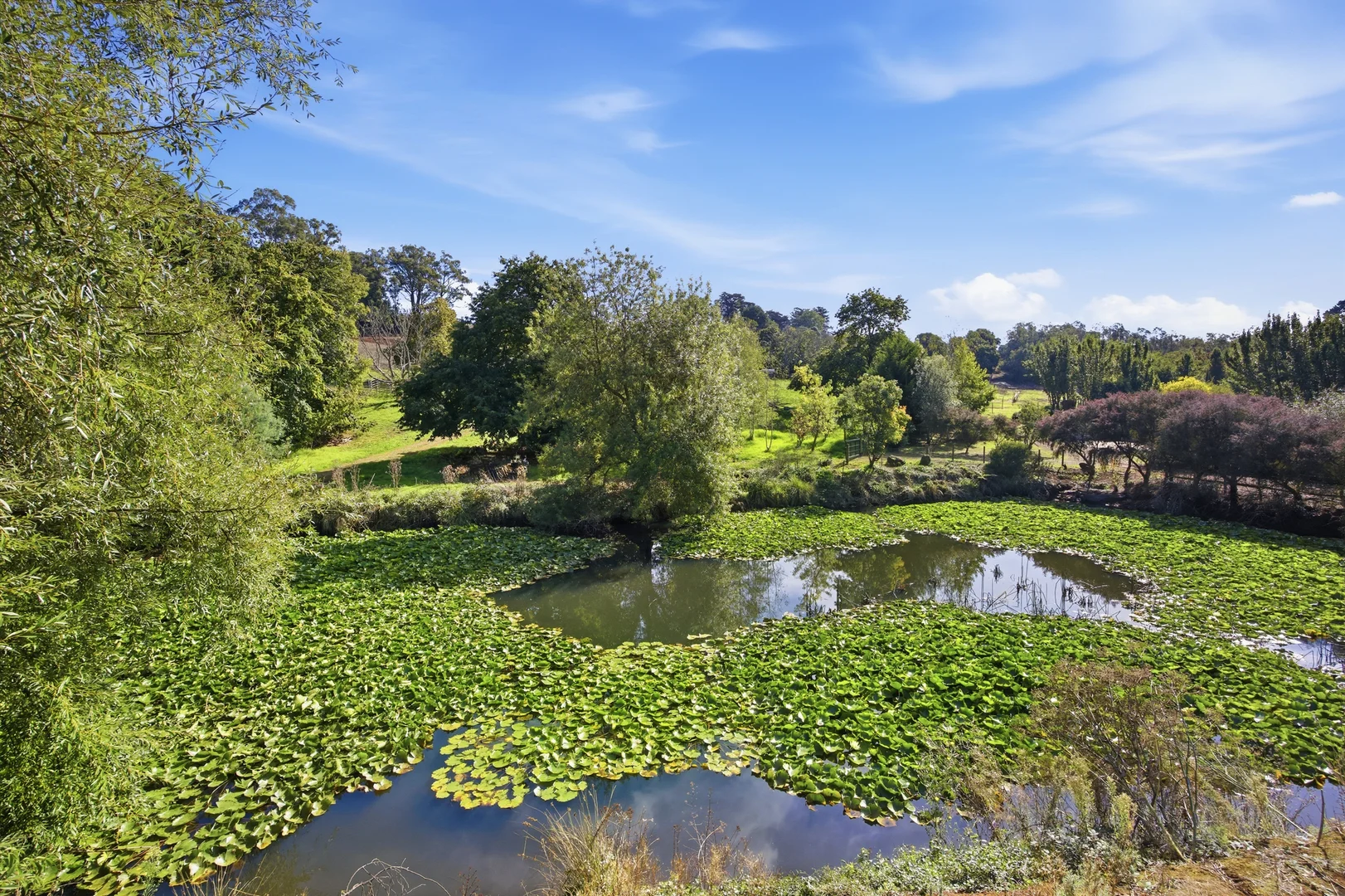 Additional image 13 of 132 Monbulk-Seville Road, Silvan VIC 3795