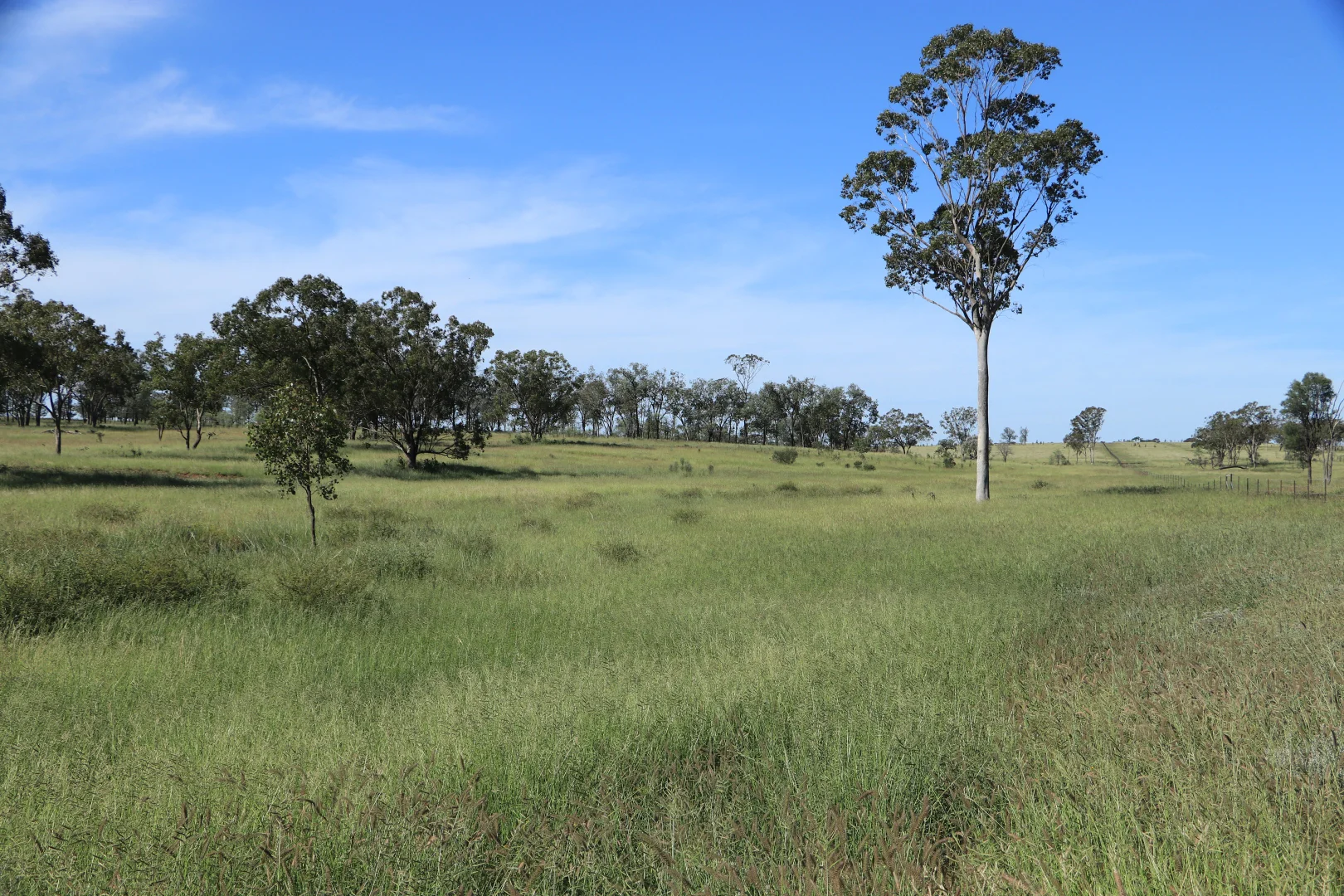 Additional image 23 of 564 ORALLO ROAD, Roma QLD 4455