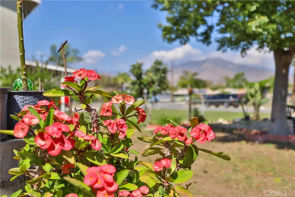 Additional image 94 of 7848 Valmont Ave, Highland, CA 92346